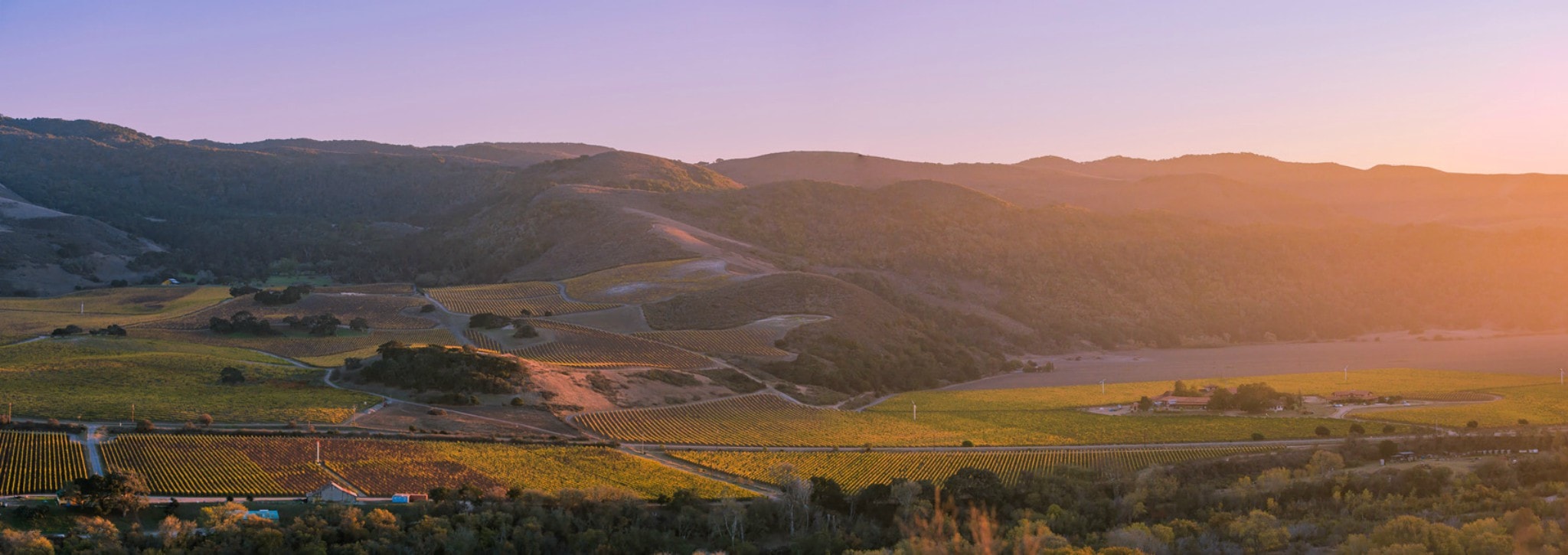 Experience the extraordinary